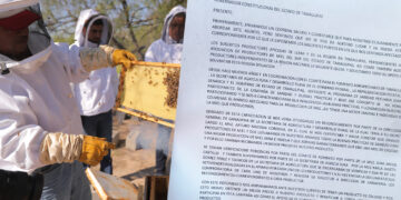 Apicultores de Tamaulipas piden intervención del gobernador ante crisis por certificaciones