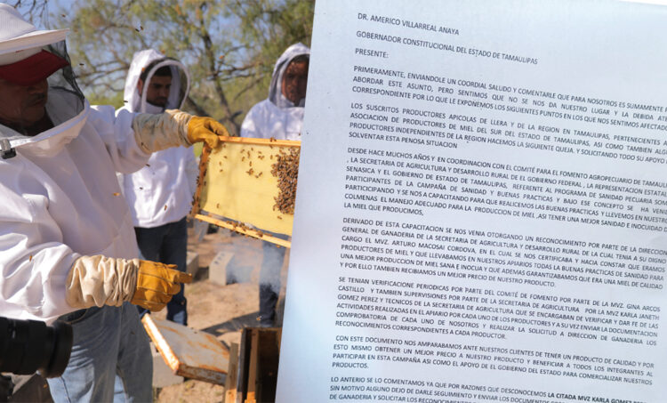 Apicultores de Tamaulipas piden intervención del gobernador ante crisis por certificaciones