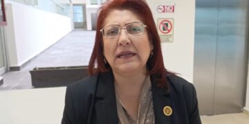 Comercio internacional en la frontera de Tamaulipas, sin afectaciones por inseguridad: Diputada del Verde