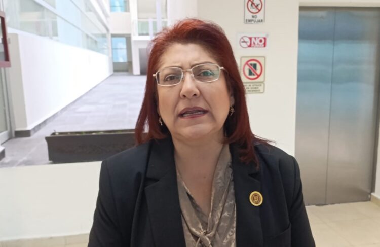 Comercio internacional en la frontera de Tamaulipas, sin afectaciones por inseguridad: Diputada del Verde