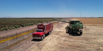 Se disparan nerviosismo e incertidumbre en sector agroalimentario: Nexusagronegocios