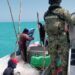 Detecta la Marina pesca ilegal en costas de Tamaulipas