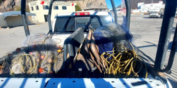 Retienen AGRICULTURA y MARINA más de 86 toneladas de producto pesquero ilegal en 17 estados