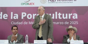 AGRICULTURA busca reducir importación de carne de cerdo y fortalecer su producción