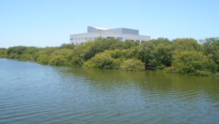 Más de 5 mil mujeres recibieron atención del Gobierno de Tamaulipas en primer cuatrimestre del 2025