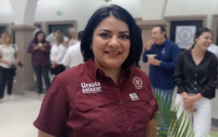 Evaluar la capacidad psicológica de los funcionarios públicos: una tarea pendiente :Úrsula Salazar