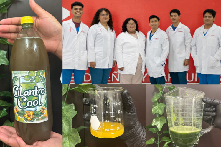 “Cilantro Cool”: el refresco saludable y 100% veracruzano creado por estudiantes UVM