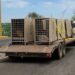 Trasladan 130 animales más a Mazatlán para mantenerlos a salvo