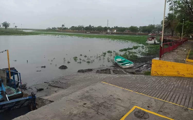 🦟 Altamira en alerta: 120 casos sospechosos de dengue en la Jurisdicción Sanitaria 12