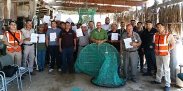 Conapesca fortalece la pesca sostenible de camarón, con uso de Dispositivos Excluidores de Tortugas Marinas y de Peces