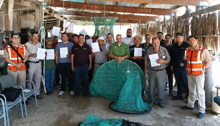 Conapesca fortalece la pesca sostenible de camarón, con uso de Dispositivos Excluidores de Tortugas Marinas y de Peces
