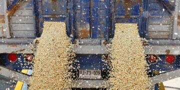 Incertidumbre regulatoria y política limita confianza empresarial en México