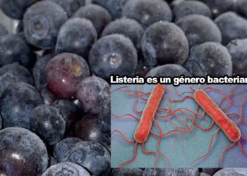Alerta sanitaria: FDA advierte sobre arándanos contaminados con Listeria en EE. UU.