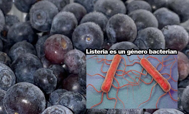 Alerta sanitaria: FDA advierte sobre arándanos contaminados con Listeria en EE. UU.