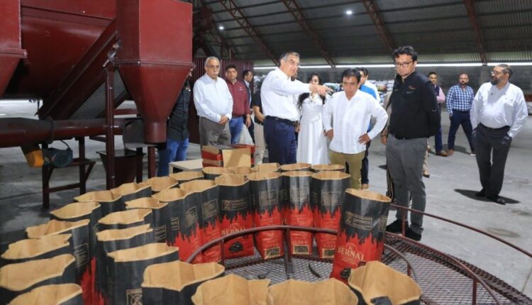 Avanza planta de combustibles limpios en Tamaulipas, con inversión de 6 mil 500 MDD