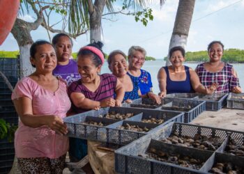 Conapesca impulsa a más de 500 mujeres rurales en acuacultura