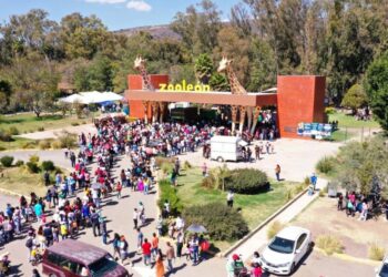 AZCARM critica uso de fotos apócrifas por Profepa en polémica de Halloween