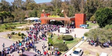 AZCARM critica uso de fotos apócrifas por Profepa en polémica de Halloween