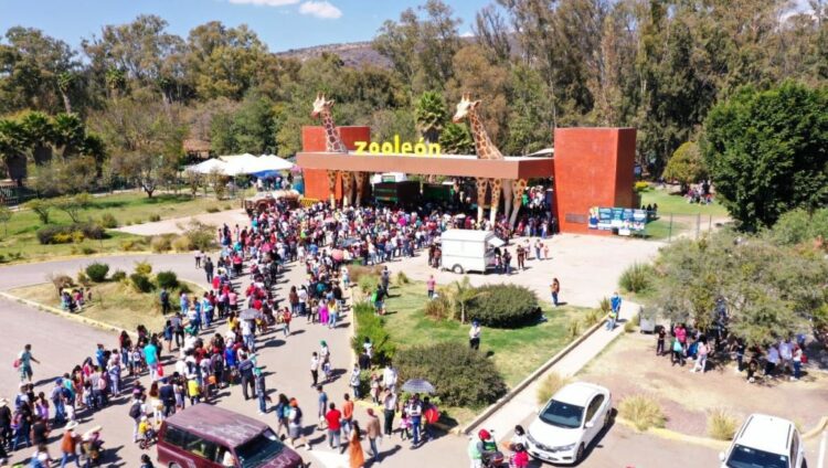 AZCARM critica uso de fotos apócrifas por Profepa en polémica de Halloween