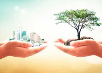 El auge del modelo de negocio sustentable y saludable: una tendencia que llegó para quedarse