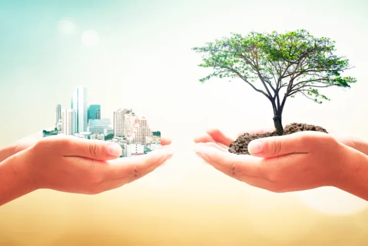 El auge del modelo de negocio sustentable y saludable: una tendencia que llegó para quedarse