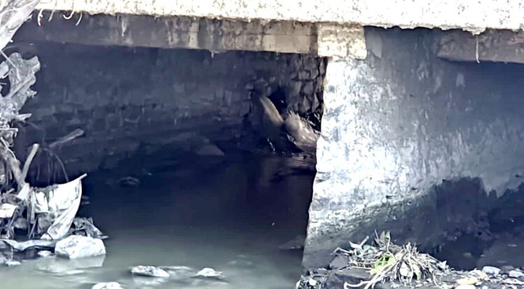 Detectan fuga en drenaje que podría causar daño ambiental en El Mante
