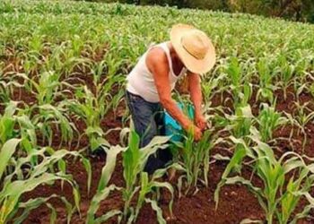 Anticipan recorte real en apoyos al campo tamaulipeco