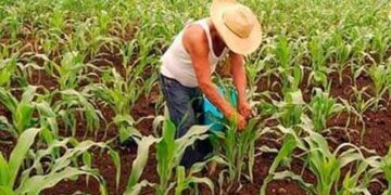 Anticipan recorte real en apoyos al campo tamaulipeco