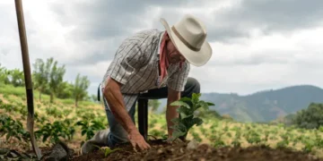 Gobierno federal apuesta al diálogo y justicia social en el campo