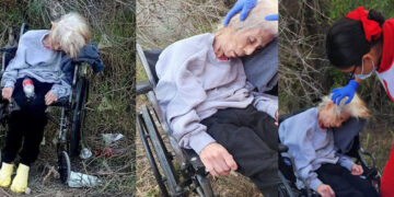 💔😢 INDIGNANTE | Abandonan a abuelita en silla de ruedas rumbo a Playa Bagdad