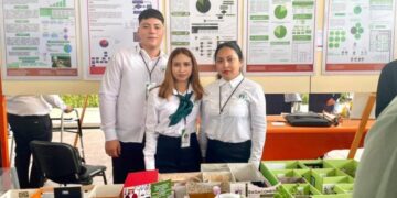 Innovación UAT: Crean panel de bagazo de caña para construcción