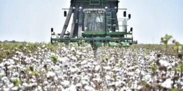 Participa Tamaulipas en reunión binacional para fortalecer la sanidad del algodón