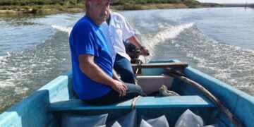 *Presas de Tamaulipas reciben alevines para impulsar la pesca comercial*