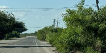 Carretera Soto la Marina–La Pesca se vuelve peligrosa por falta de desmonte en acotamientos