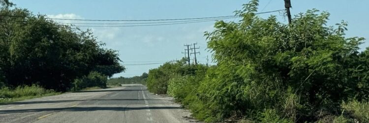 Carretera Soto la Marina–La Pesca se vuelve peligrosa por falta de desmonte en acotamientos