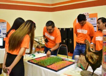 Produce la UAT forraje hidropónico del sorgo y maíz