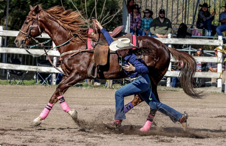 Tamaulipas activa el modo competencia en la Olimpiada Estatal