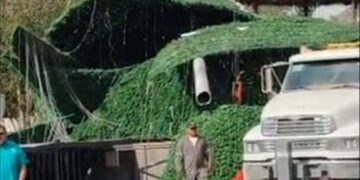 Colapsa monumental Árbol Navideño de Reynosa.