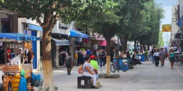 Reynosa ajusta tarifas de publicidad exterior con cobros más equitativos