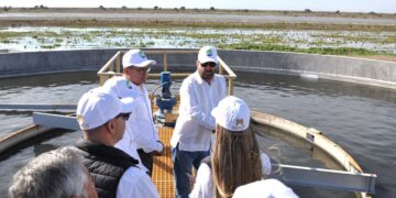 Avanza modernización de la PTAR Oeste de Matamoros