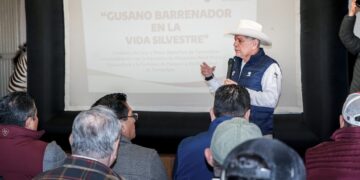 Estrategia sanitaria para contener el gusano barrenador del ganado da resultados positivos en Tamaulipas, Veracruz y San Luis Potosí