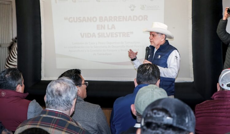 Estrategia sanitaria para contener el gusano barrenador del ganado da resultados positivos en Tamaulipas, Veracruz y San Luis Potosí