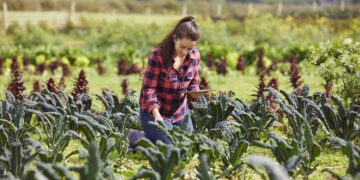 Colabora la UAT con el Sector Salud en jornadas de vacunación