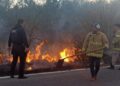 Guardia Estatal y Protección Civil sofocan incendio de pastizal en la Carretera Estatal 75