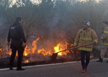 Guardia Estatal y Protección Civil sofocan incendio de pastizal en la Carretera Estatal 75