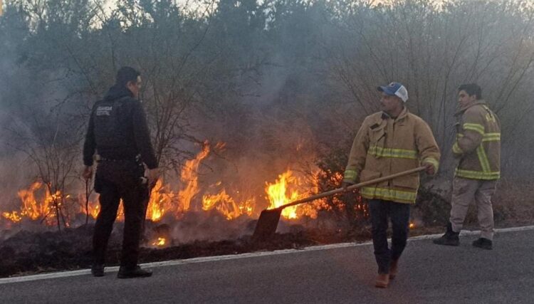Guardia Estatal y Protección Civil sofocan incendio de pastizal en la Carretera Estatal 75