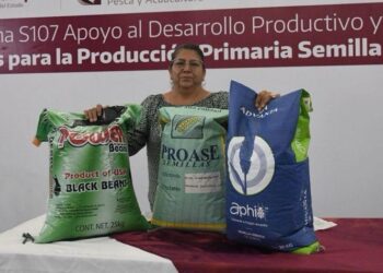 *Productores podrán acceder a apoyos de semilla para cultivos estratégicos*