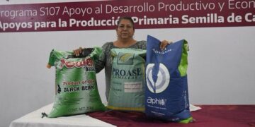 *Productores podrán acceder a apoyos de semilla para cultivos estratégicos*