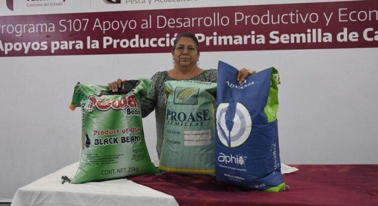 *Productores podrán acceder a apoyos de semilla para cultivos estratégicos*