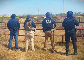 Cateo en Soto La Marina: aseguran objetos ligados a grupo criminal en ejido Verde Grande
